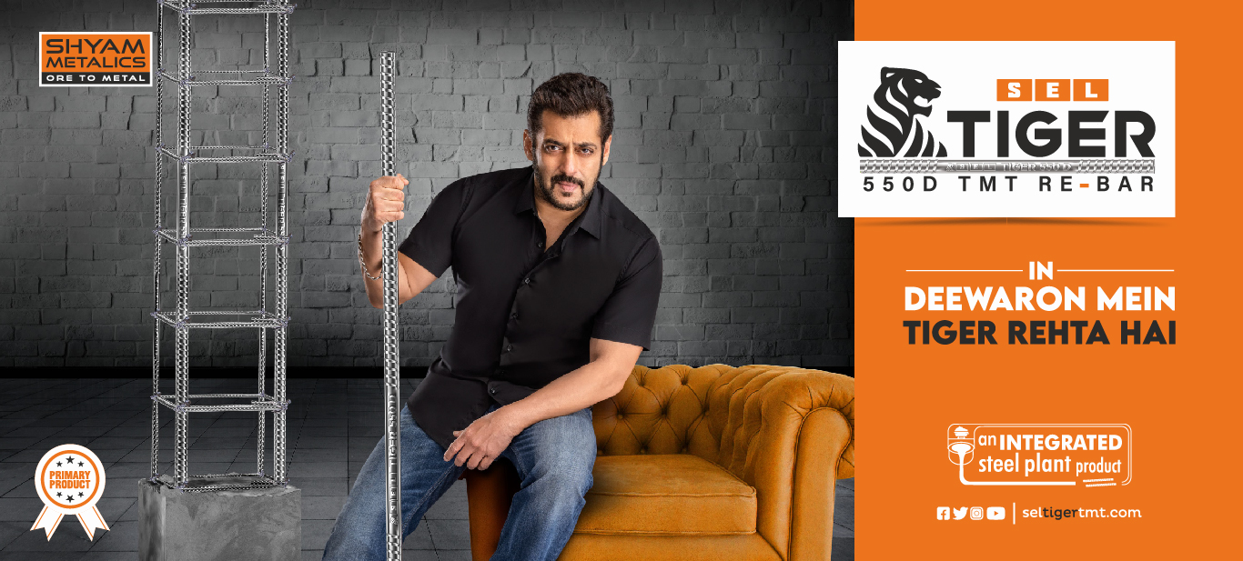 SEL Tiger TMT Rebars